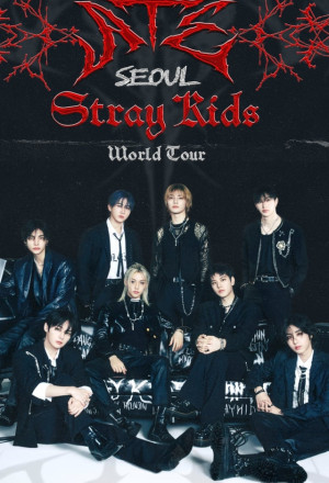 Beyond Live — Stray Kids World Tour dominATE in SEOUL (2024)