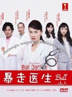 Bull Doctor