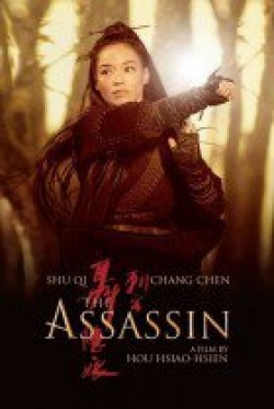 The Assassin 2015